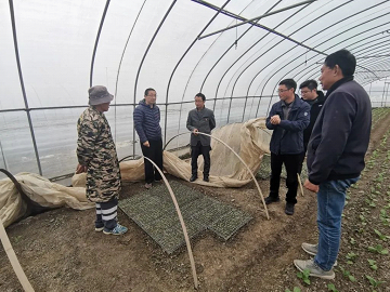 科技賦能百業，智慧農業守護常熟種質未來