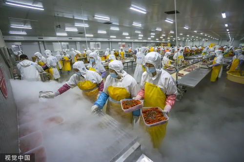 打1折的臨期食品，到底能不能吃？農業科技研發給出答案